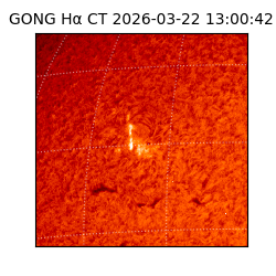 gong - 2026-03-22T13:00:42