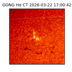 gong - 2026-03-22T17:00:42