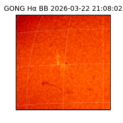 gong - 2026-03-22T21:08:02