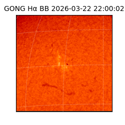 gong - 2026-03-22T22:00:02