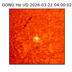 gong - 2026-03-22T04:00:02