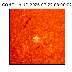 gong - 2026-03-22T08:00:02