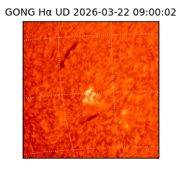 gong - 2026-03-22T09:00:02