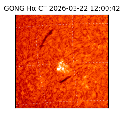 gong - 2026-03-22T12:00:42