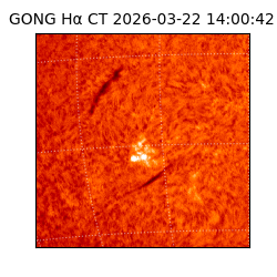 gong - 2026-03-22T14:00:42