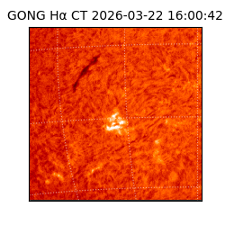 gong - 2026-03-22T16:00:42