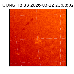 gong - 2026-03-22T21:08:02