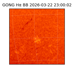 gong - 2026-03-22T23:00:02