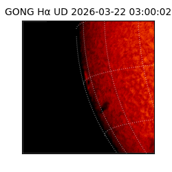 gong - 2026-03-22T03:00:02