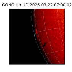 gong - 2026-03-22T07:00:02