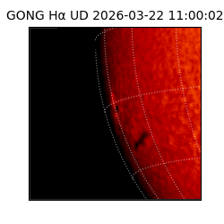 gong - 2026-03-22T11:00:02