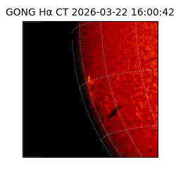 gong - 2026-03-22T16:00:42