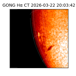 gong - 2026-03-22T20:03:42
