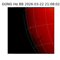 gong - 2026-03-22T21:08:02