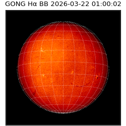 gong - 2026-03-22T01:00:02