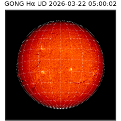 gong - 2026-03-22T05:00:02