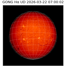 gong - 2026-03-22T07:00:02
