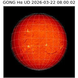 gong - 2026-03-22T08:00:02