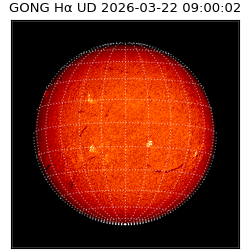 gong - 2026-03-22T09:00:02