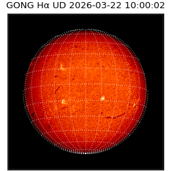 gong - 2026-03-22T10:00:02