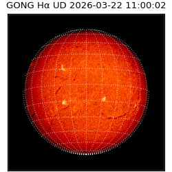 gong - 2026-03-22T11:00:02