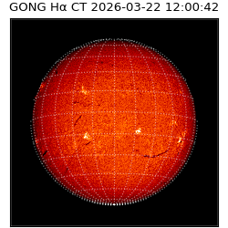 gong - 2026-03-22T12:00:42