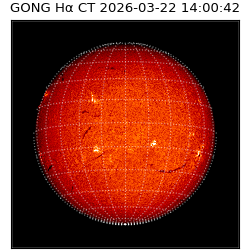 gong - 2026-03-22T14:00:42