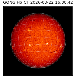 gong - 2026-03-22T16:00:42