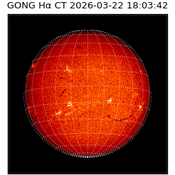 gong - 2026-03-22T18:03:42