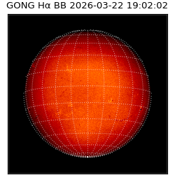 gong - 2026-03-22T19:02:02