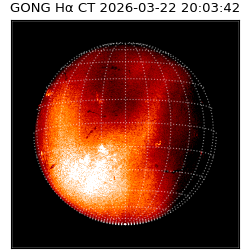 gong - 2026-03-22T20:03:42