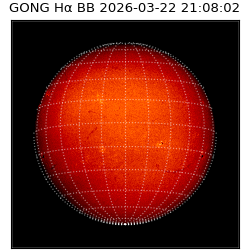 gong - 2026-03-22T21:08:02