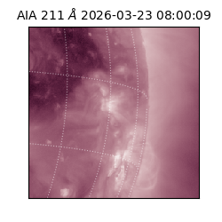 saia - 2026-03-23T08:00:09.624000