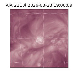 saia - 2026-03-23T19:00:09.623000