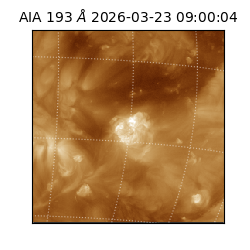 saia - 2026-03-23T09:00:04.842000