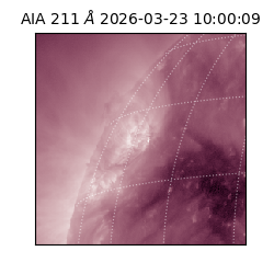 saia - 2026-03-23T10:00:09.624000