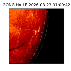 gong - 2026-03-23T01:00:42