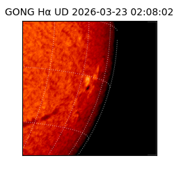 gong - 2026-03-23T02:08:02