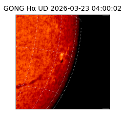 gong - 2026-03-23T04:00:02
