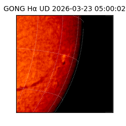 gong - 2026-03-23T05:00:02
