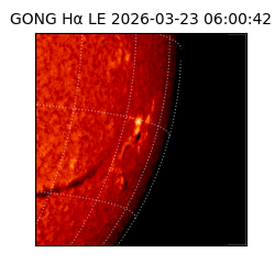 gong - 2026-03-23T06:00:42