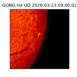gong - 2026-03-23T09:00:02