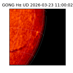 gong - 2026-03-23T11:00:02