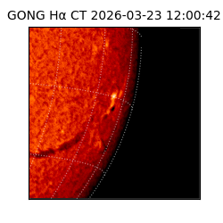 gong - 2026-03-23T12:00:42