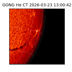 gong - 2026-03-23T13:00:42