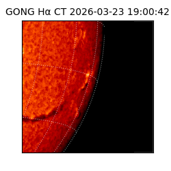 gong - 2026-03-23T19:00:42