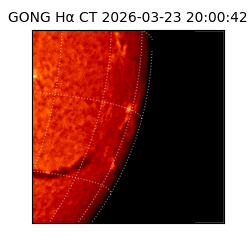 gong - 2026-03-23T20:00:42