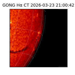 gong - 2026-03-23T21:00:42