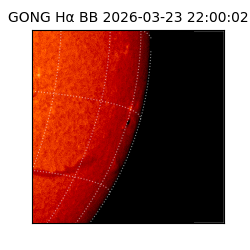 gong - 2026-03-23T22:00:02
