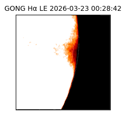 gong - 2026-03-23T00:28:42